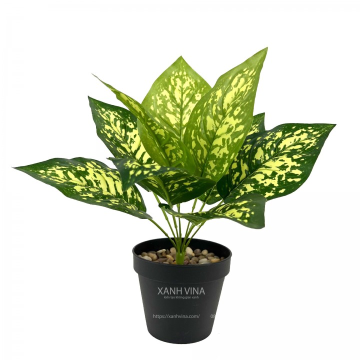 Cây giả để bàn cao 35cm - vạn niên thanh